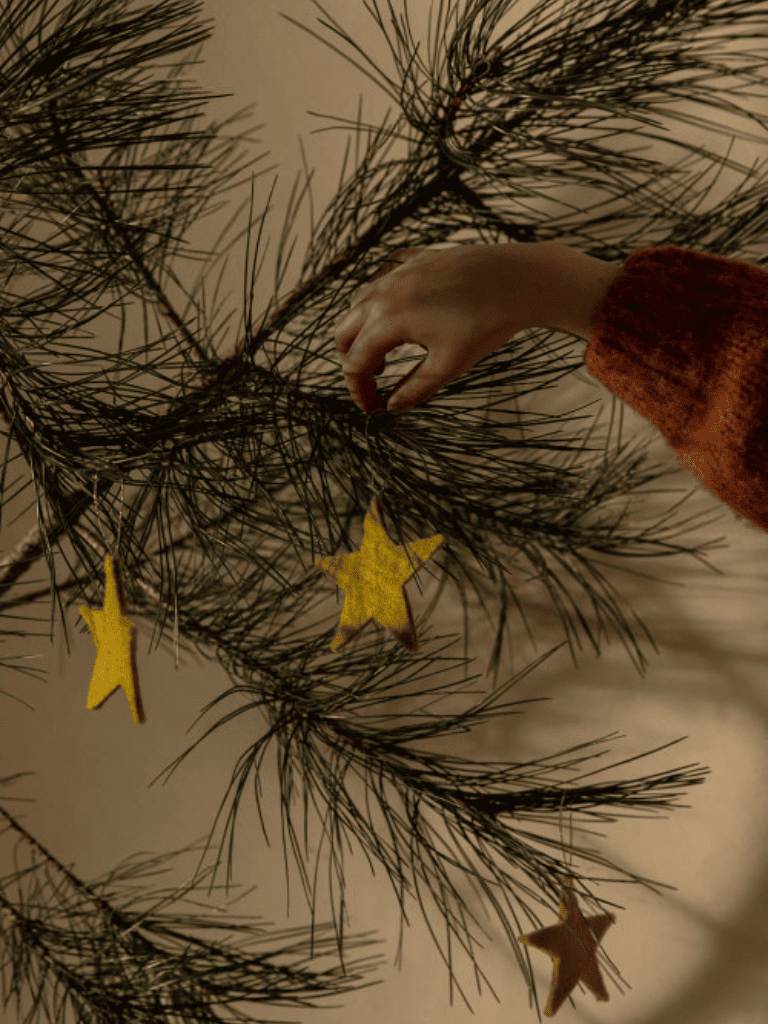 Étoile de Noël chartreuse en feutrine Muskhane
