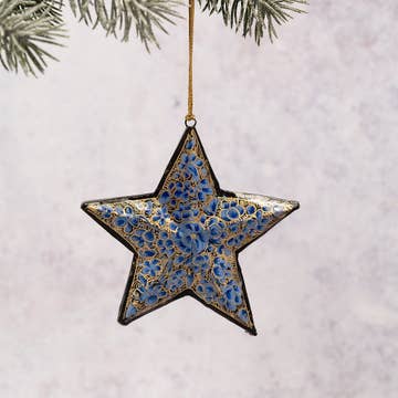 Étoile de Noël Fleurs Bleue