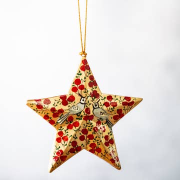 Étoile de Noël Oiseaux