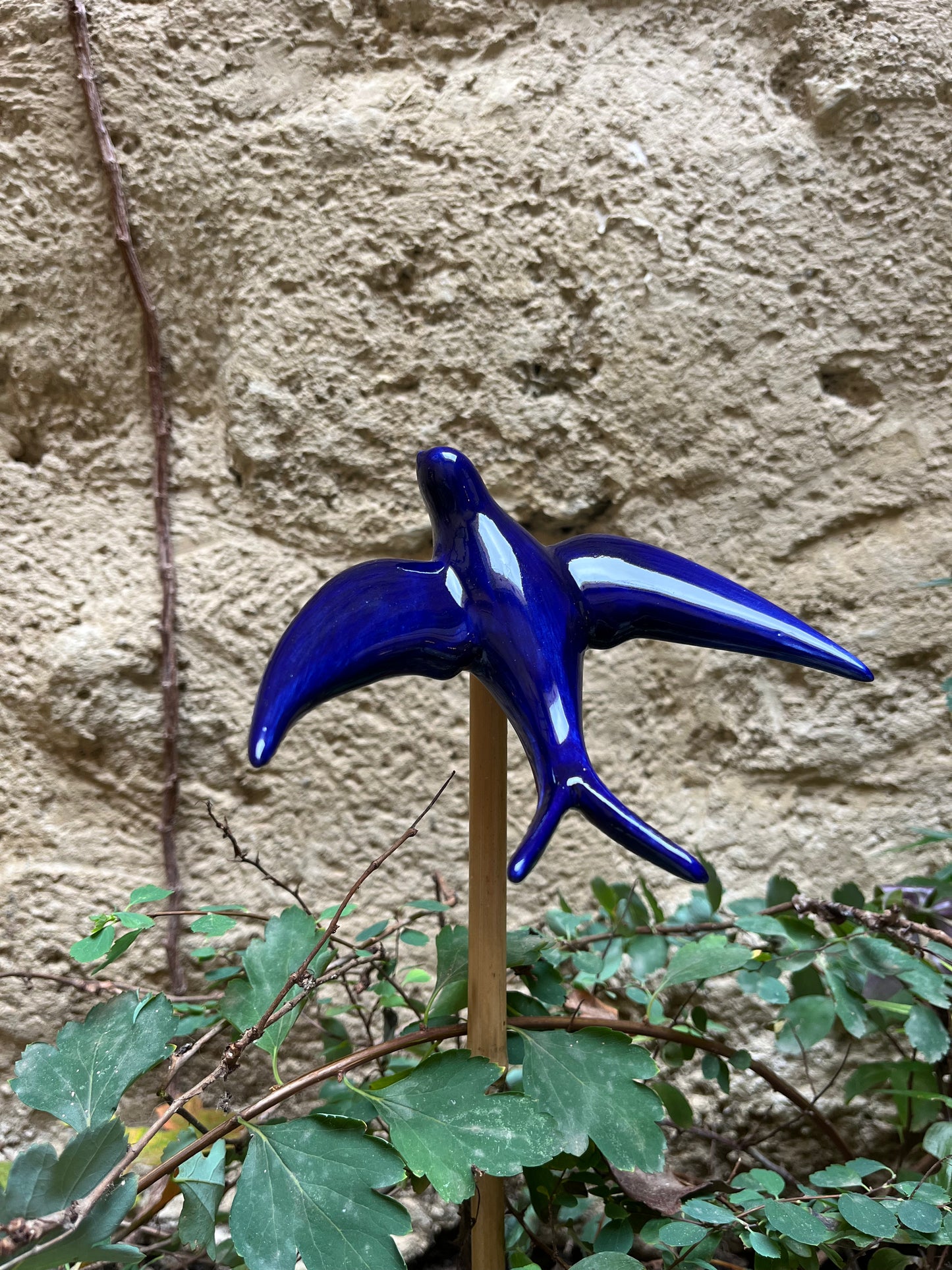 Hirondelle Bleue XL