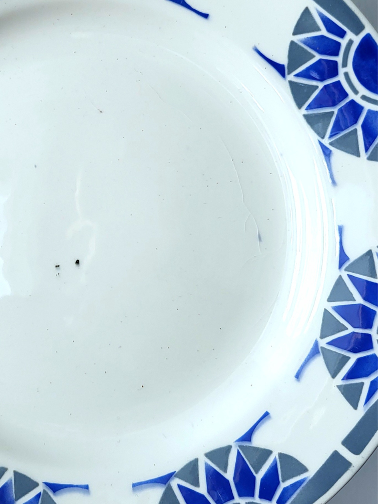 zoom sur assiette roxy bleue