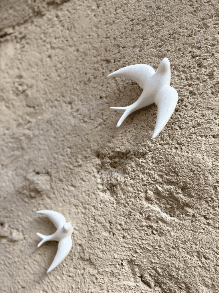 duo hirondelles au mur