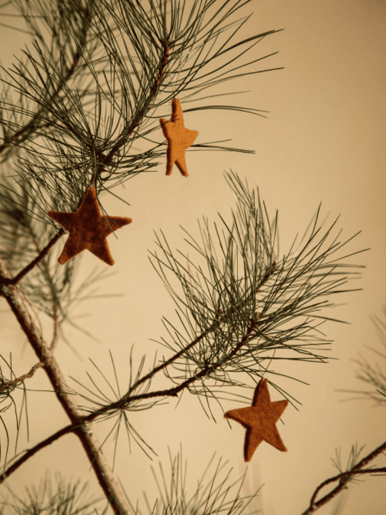 Étoile de Noël caramel en feutrine Muskhane
