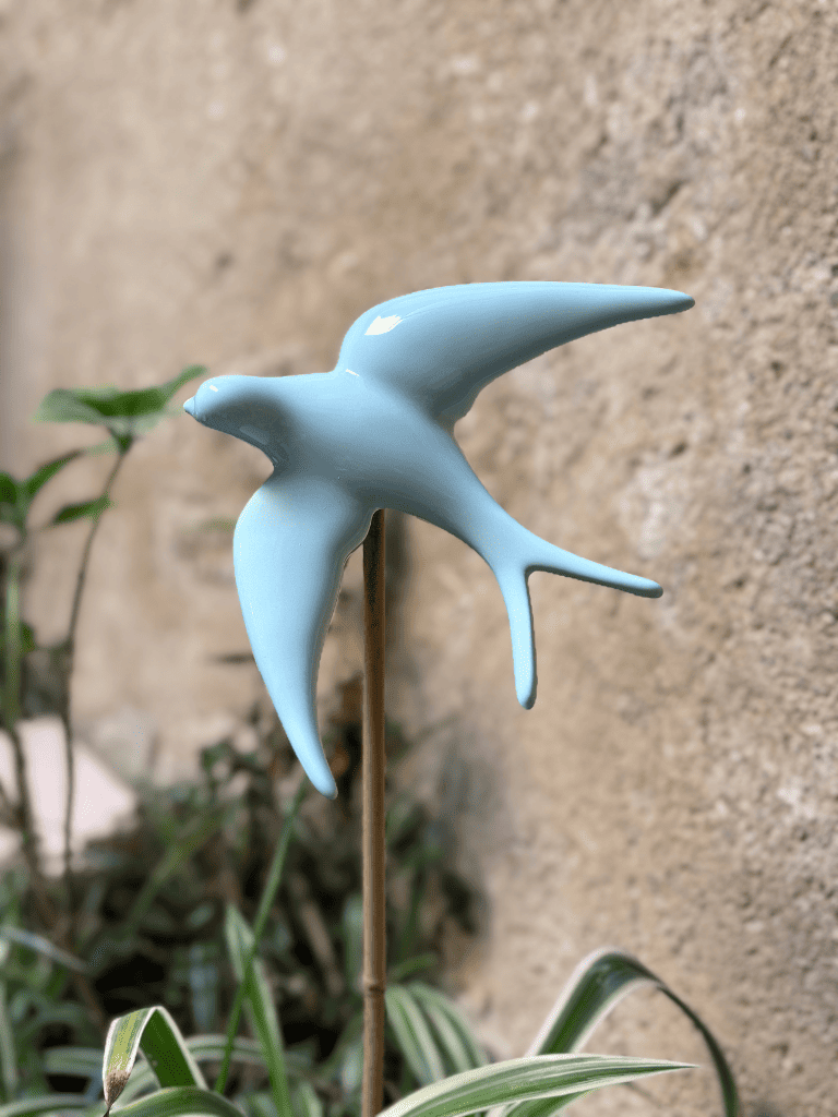 hirondelle aigue marine jardinière