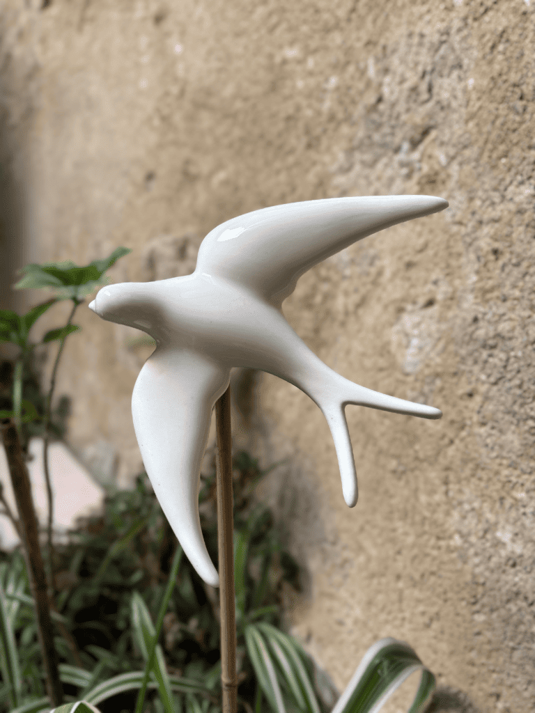hirondelle blanche dans une jardinière
