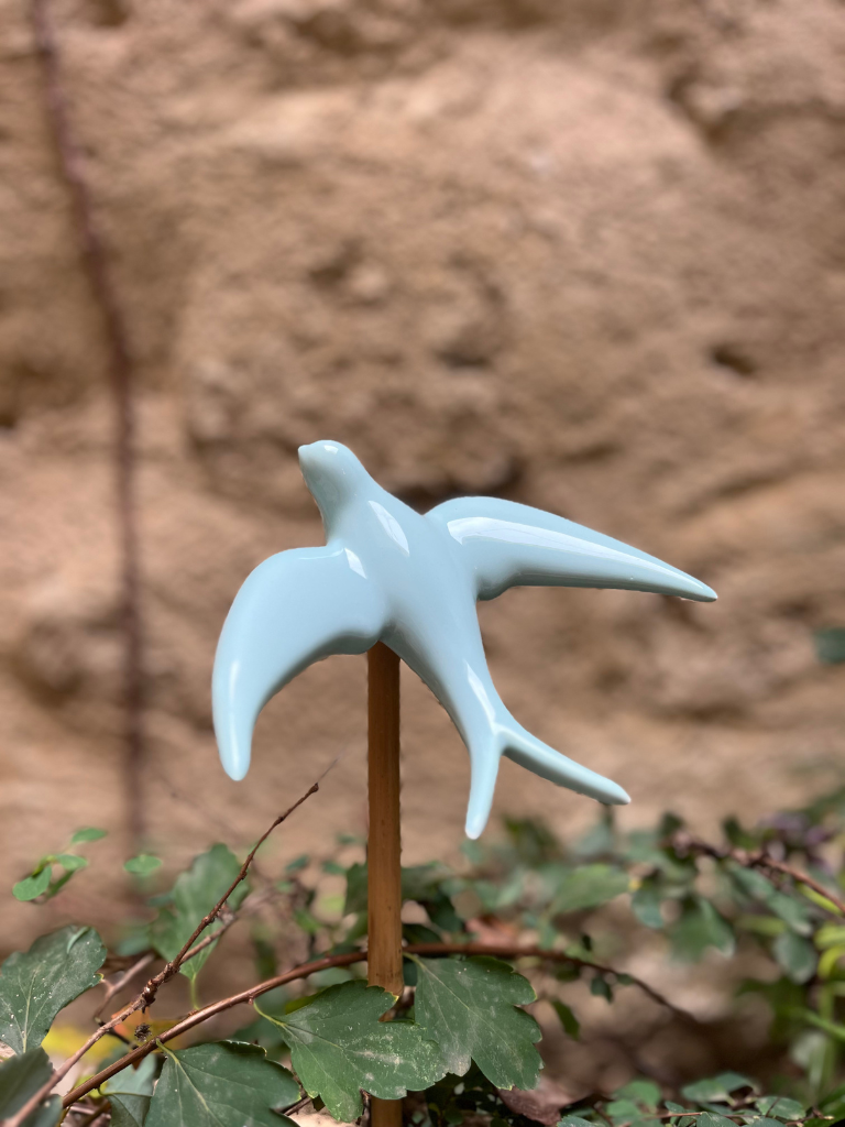 hirondelle bleu aigue marine dans une jardinière