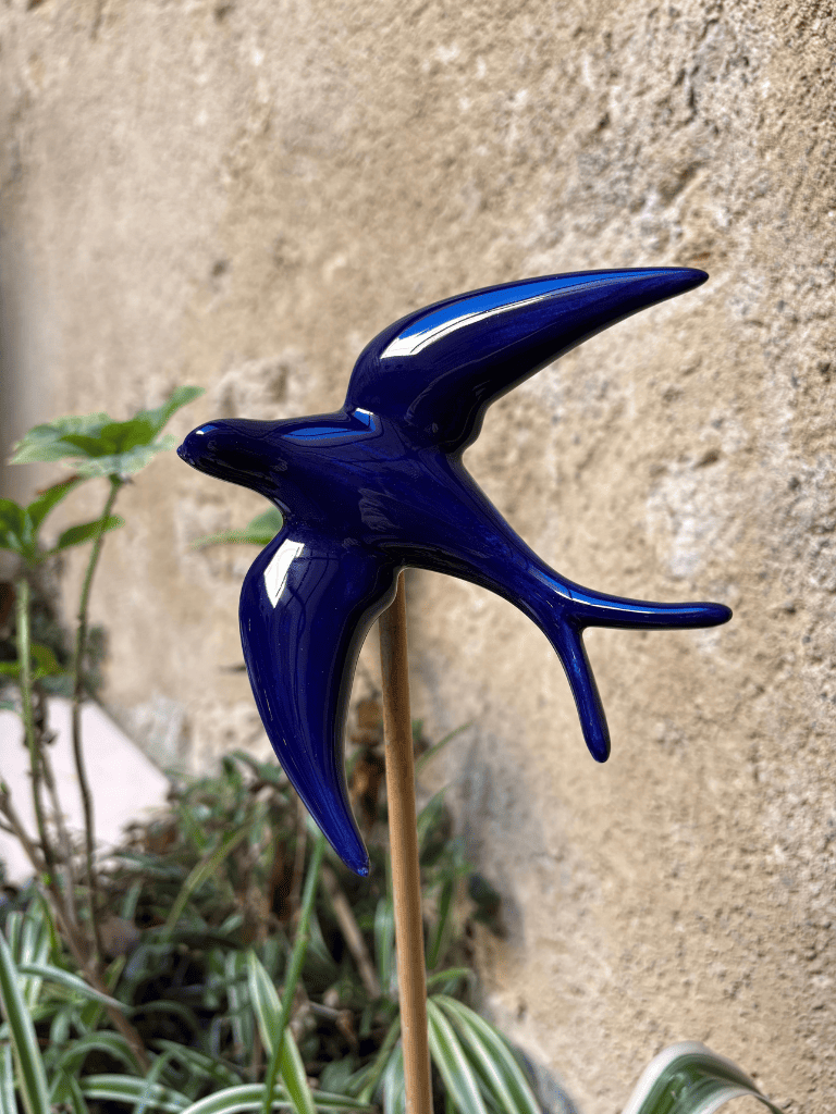 hirondelle bleu dans une jardinière