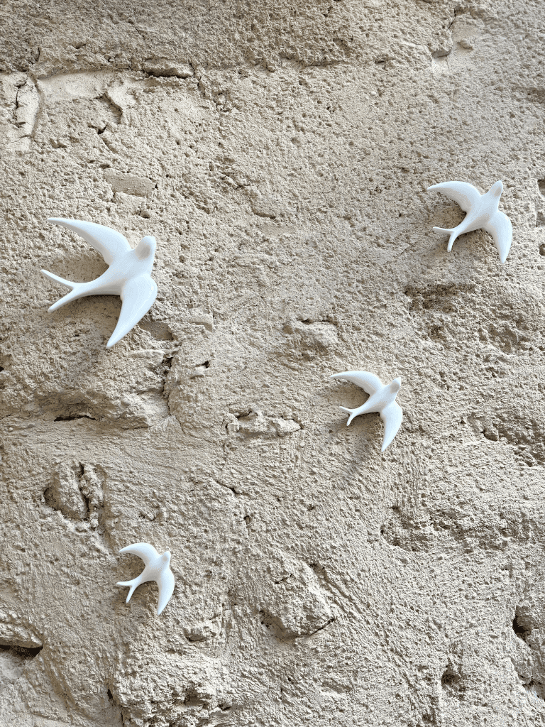 hirondelles blanches mise en situation